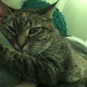 Meet your Posher, Meredith